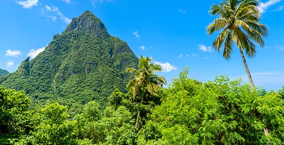 what-are-the-unforgettable-things-to-do-in-st-lucia-mid-content-1